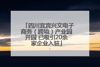 四川宜宾兴文电子商务（跨境）产业园开园 已吸引20余家企业入驻