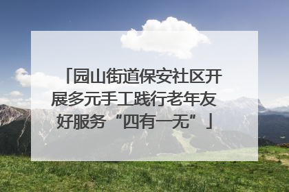 园山街道保安社区开展多元手工践行老年友好服务“四有一无”