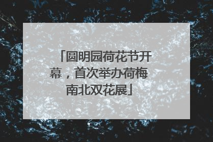圆明园荷花节开幕，首次举办荷梅南北双花展