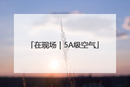 在现场｜5A级空气