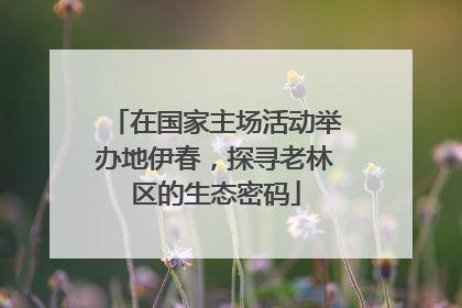 在国家主场活动举办地伊春，探寻老林区的生态密码