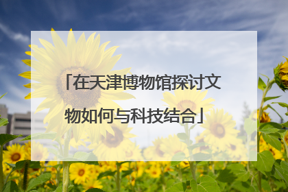 在天津博物馆探讨文物如何与科技结合
