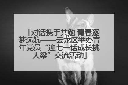 对话携手共勉 青春逐梦远航——云龙区举办青年党员“迎七一话成长挑大梁”交流活动