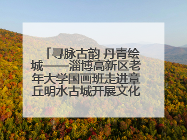 寻脉古韵 丹青绘城——淄博高新区老年大学国画班走进章丘明水古城开展文化研学活动