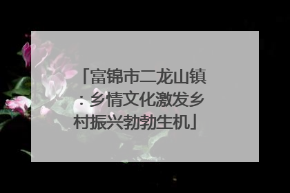 富锦市二龙山镇：乡情文化激发乡村振兴勃勃生机