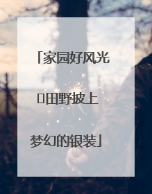 家园好风光 ⎮田野披上梦幻的银装