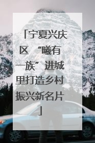 宁夏兴庆区 “曦有一族”进城里打造乡村振兴新名片