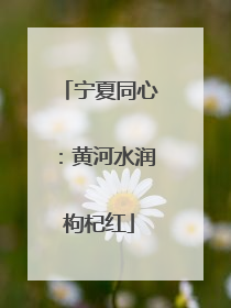 宁夏同心：黄河水润枸杞红