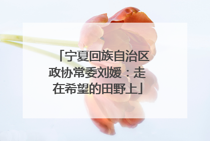 宁夏回族自治区政协常委刘媛：走在希望的田野上
