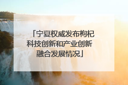 宁夏权威发布枸杞科技创新和产业创新融合发展情况