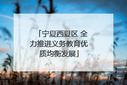 宁夏西夏区 全力推进义务教育优质均衡发展
