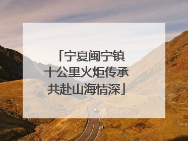 宁夏闽宁镇 十公里火炬传承共赴山海情深