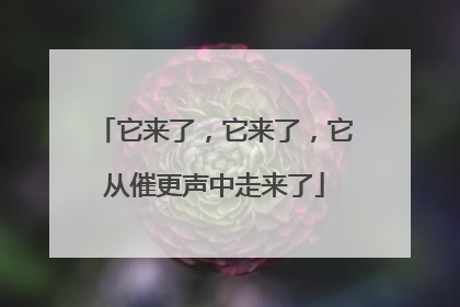 它来了，它来了，它从催更声中走来了