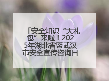安全知识“大礼包”来啦！2025年湖北省暨武汉市安全宣传咨询日活动在汉举行