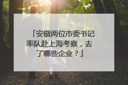 安徽两位市委书记率队赴上海考察，去了哪些企业？