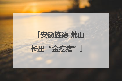 安徽旌德 荒山长出“金疙瘩”