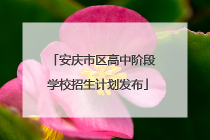 安庆市区高中阶段学校招生计划发布