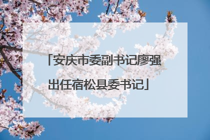 安庆市委副书记廖强出任宿松县委书记