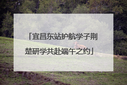 宜昌东站护航学子荆楚研学共赴端午之约