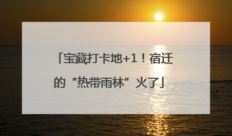 宝藏打卡地+1！宿迁的“热带雨林”火了
