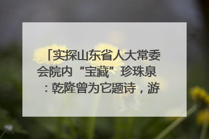 实探山东省人大常委会院内“宝藏”珍珠泉：乾隆曾为它题诗，游客无需预约免费游览