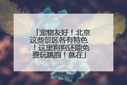 宠物友好！北京这些景区各有特色！这里狗狗还能免费玩跳圈！就在
