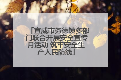 宣威市务德镇多部门联合开展安全宣传月活动 筑牢安全生产人民防线