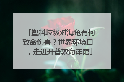 塑料垃圾对海龟有何致命伤害？世界环境日，走进开普敦海洋馆
