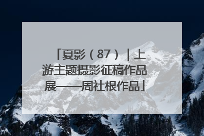 夏影（87）｜上游主题摄影征稿作品展——周社根作品