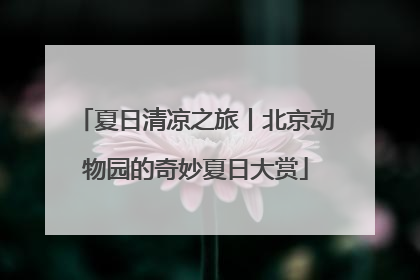 夏日清凉之旅丨北京动物园的奇妙夏日大赏