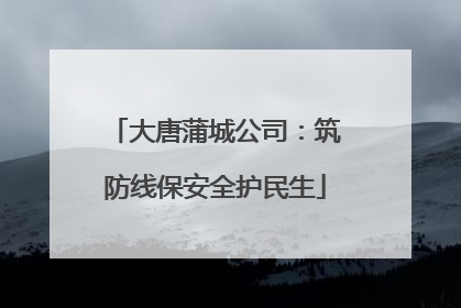大唐蒲城公司：筑防线保安全护民生