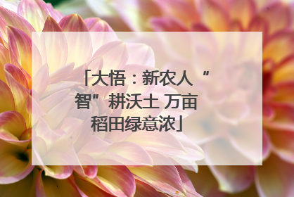 大悟：新农人“智”耕沃土 万亩稻田绿意浓