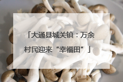 大通县城关镇：万余村民迎来“幸福田”