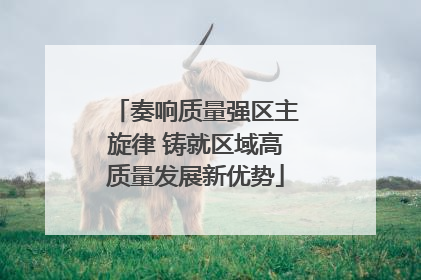 奏响质量强区主旋律 铸就区域高质量发展新优势