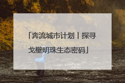 奔流城市计划丨探寻戈壁明珠生态密码