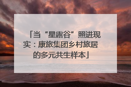 当“星露谷”照进现实：康旅集团乡村旅居的多元共生样本