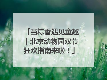 当粽香遇见童趣｜北京动物园双节狂欢指南来啦！