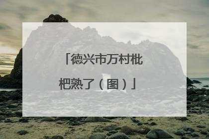 德兴市万村枇杷熟了（图）
