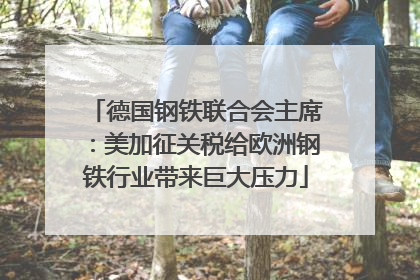 德国钢铁联合会主席：美加征关税给欧洲钢铁行业带来巨大压力