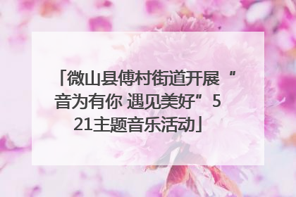 微山县傅村街道开展“音为有你 遇见美好”521主题音乐活动