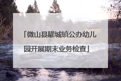 微山县驩城镇公办幼儿园开展期末业务检查