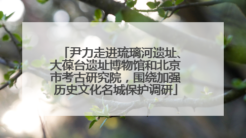 尹力走进琉璃河遗址、大葆台遗址博物馆和北京市考古研究院，围绕加强历史文化名城保护调研