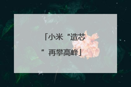 小米“造芯”再攀高峰