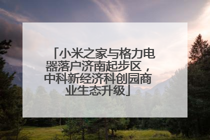 小米之家与格力电器落户济南起步区，中科新经济科创园商业生态升级