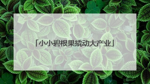 小小碧根果撬动大产业