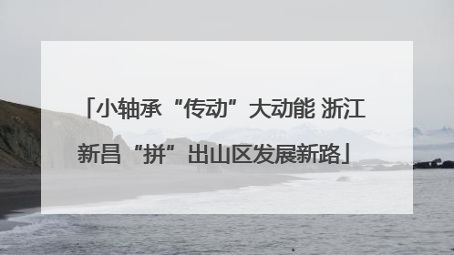 小轴承“传动”大动能 浙江新昌“拼”出山区发展新路