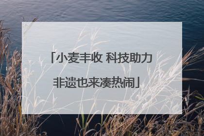 小麦丰收 科技助力 非遗也来凑热闹