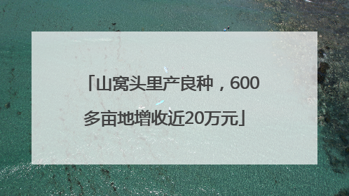 山窝头里产良种，600多亩地增收近20万元