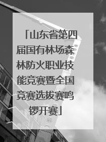 山东省第四届国有林场森林防火职业技能竞赛暨全国竞赛选拔赛鸣锣开赛