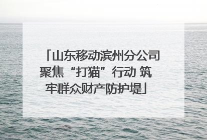 山东移动滨州分公司聚焦“打猫”行动 筑牢群众财产防护堤